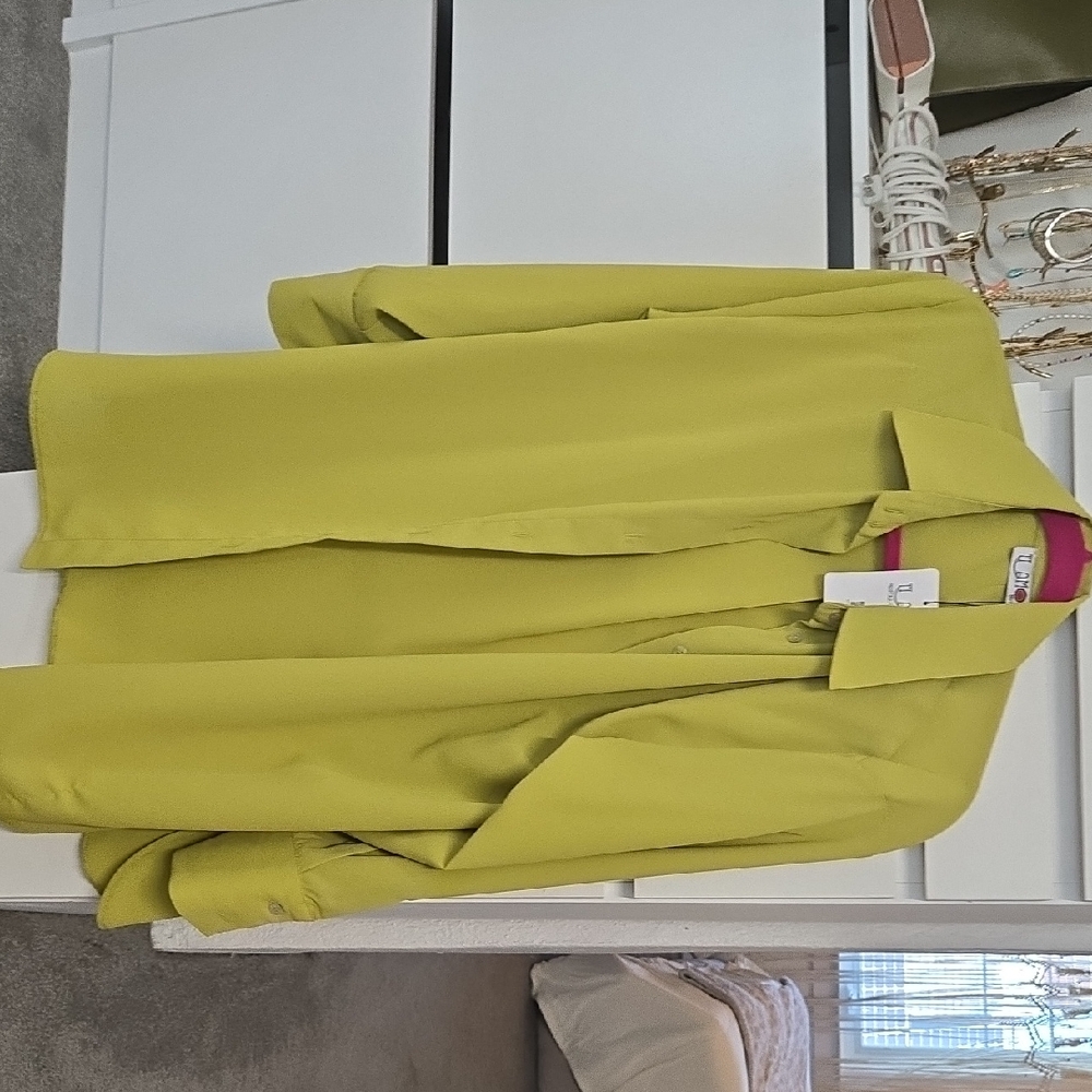 Zara Chartreuse Blazer